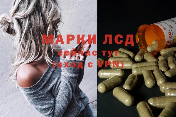 эйфоретик Майский
