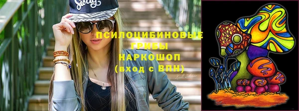 apvp Армянск